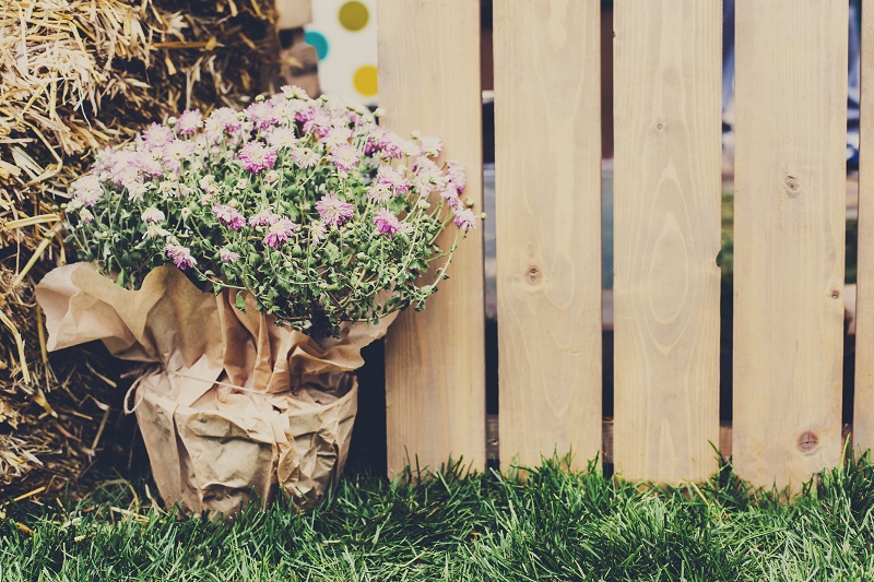 5 wskazówek, jak urozmaicić swój ogród