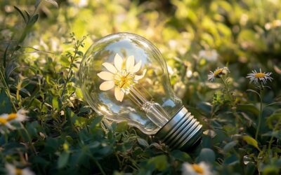 Ontologia ruchu: Czym jest energia oraz jak wyglądają jej metamorfozy w przyrodzie?