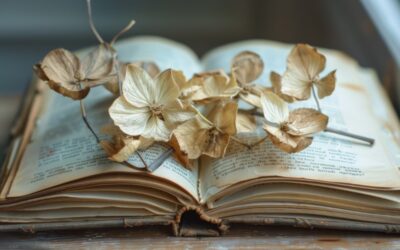 Ewolucja powieści jako narzędzia do mapowania ludzkiego doświadczenia