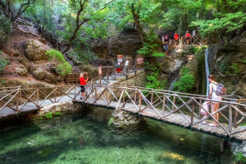 Dolina Motyli (Petaloudes), Rodos